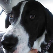 Tish Cramer's photo