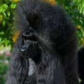 Joan Archer's photo