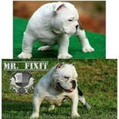 Bryan Schweer's photo