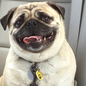 Dawn Werley's photo