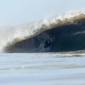 Kelly Hogan's photo