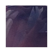 Jim Keating's photo