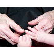 Sara Lovejoy's photo