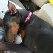 Danielle Schonfeld's photo