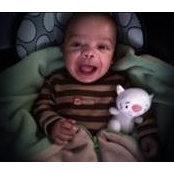 Amanda Rolson's photo
