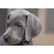 Kristi Brady's photo