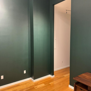 Luxury Apartment Painting
