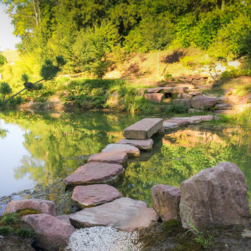 Etang jardin japonais