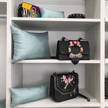 Purse Pillows
