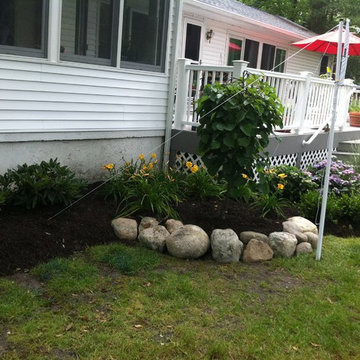 Summer Blooms