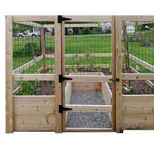 vegetable garden