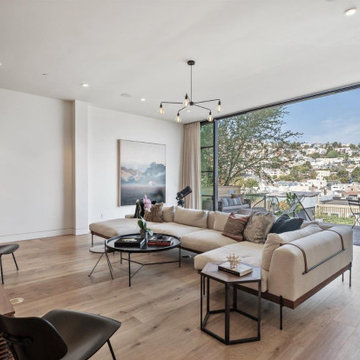 Eureka Valley Residence