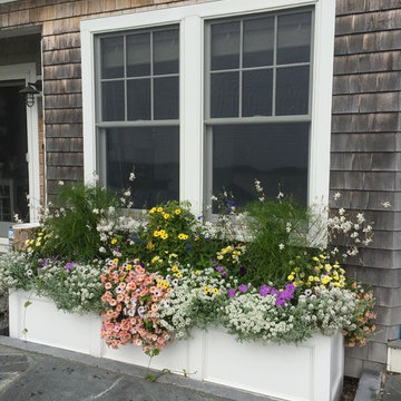 Planters & WIndow Boxes