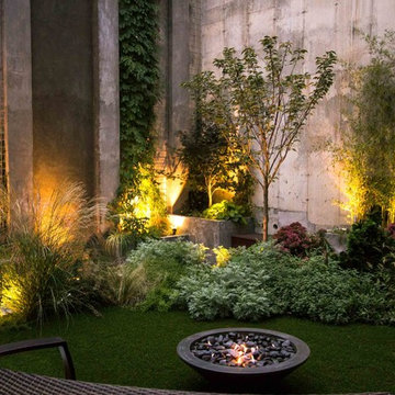 Modern Brooklyn Garden