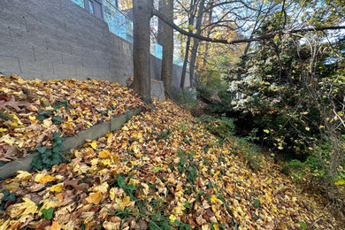 Design ideas for a landscaping.