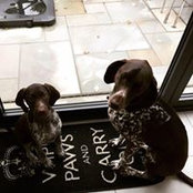 Jennie Beazley's photo
