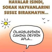 Sinem Demir's photo