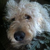Patricia Slaughter's photo