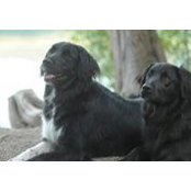 Jan Miller's photo