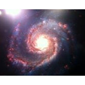 Pierre Pichon's photo