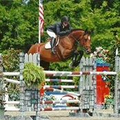 Julie Devoll Cleveland Beam's photo
