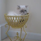 Teresa Gomez's photo