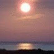 Tracey Lovitz's photo
