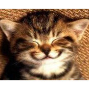 Judy Graham's photo