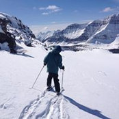 Nicolas Bonneau's photo