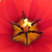 Foto von amy whitwam