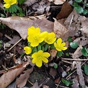 Narda Luton Henry's photo