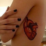 Sarah Palkovic-Loose's photo