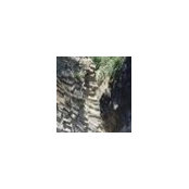 Joe Toronka's photo
