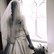 Melissa DiLiberto's photo