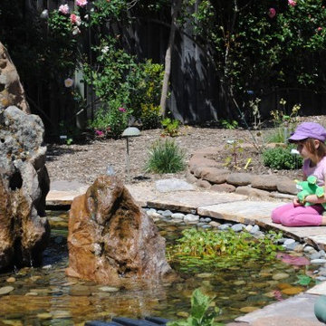 Lawn Transformations: Play it up