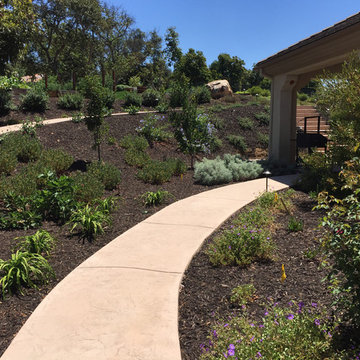 The Angeli Residence