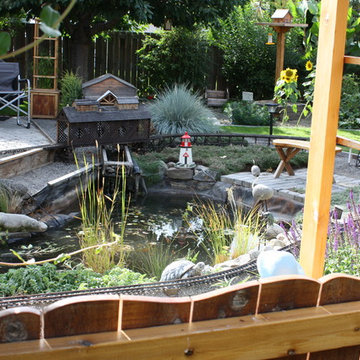 Water Features & Ponds