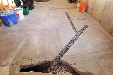 Basement - traditional basement idea in Toronto