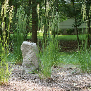 Warren deer resistant garden