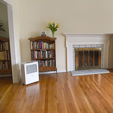 Dehumidifier