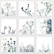 andrea_crawford's ideas