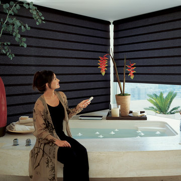 Motorized Shades