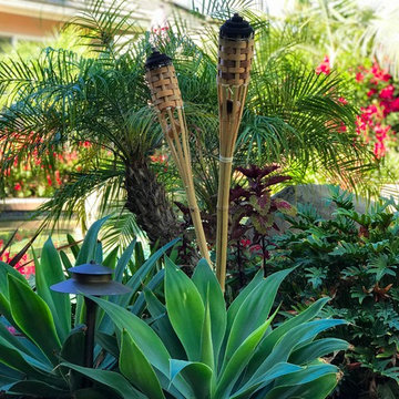 Tropical Swimming Pools