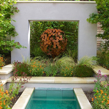 Contemporary garden
