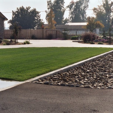 Residential Landscape in Merced