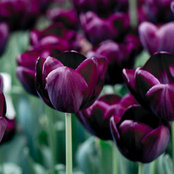 Foto von houzzideas2012
