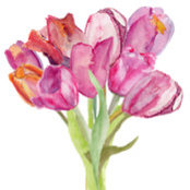 Amy Fedyk's photo