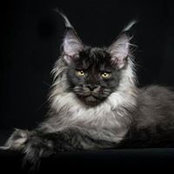 Mary Jo Tessler's photo