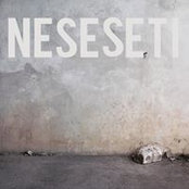 Andrea Neseseti's photo