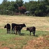 Brant Davidson's photo